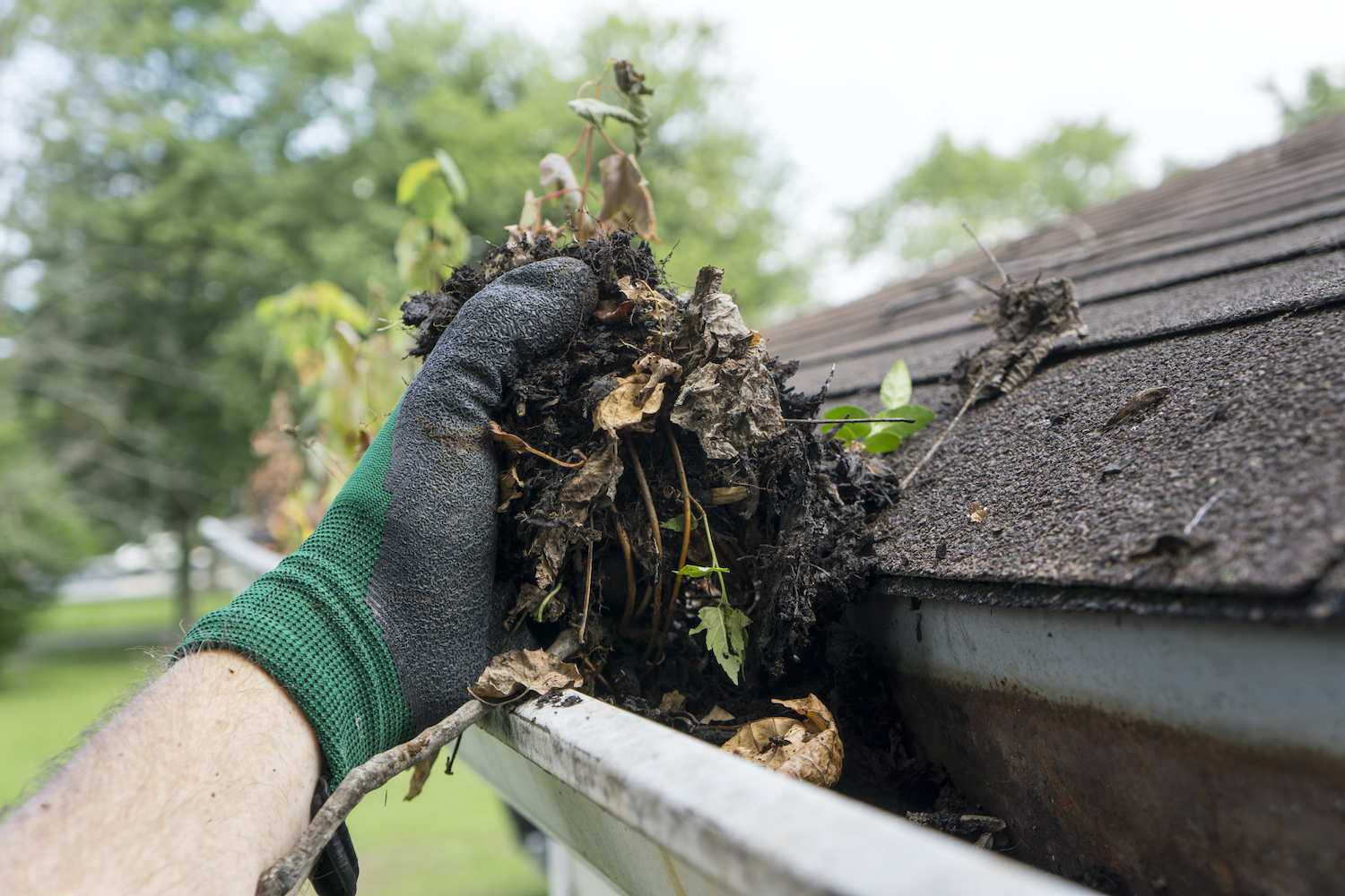 Easy Ways to Maintain Your Houston Roof Between Replacements and Repairs