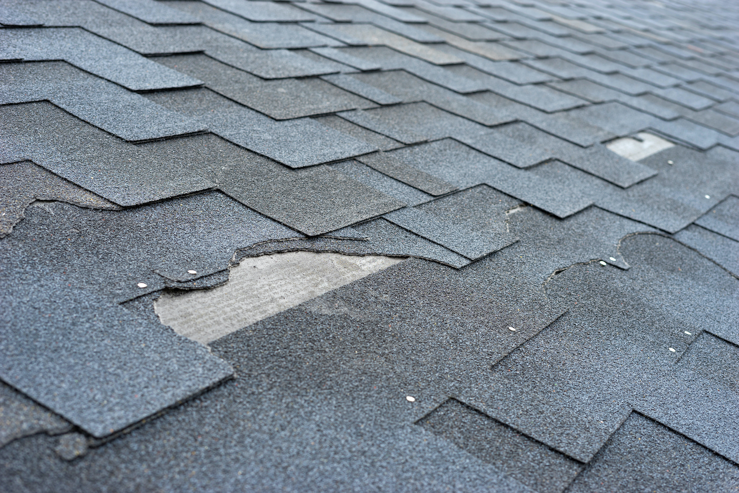 ripped off shingles from storm roof damage