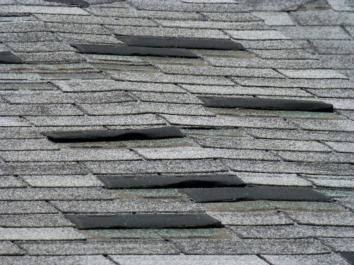 Curling and missing roof shingles from Cypress roof wind damage