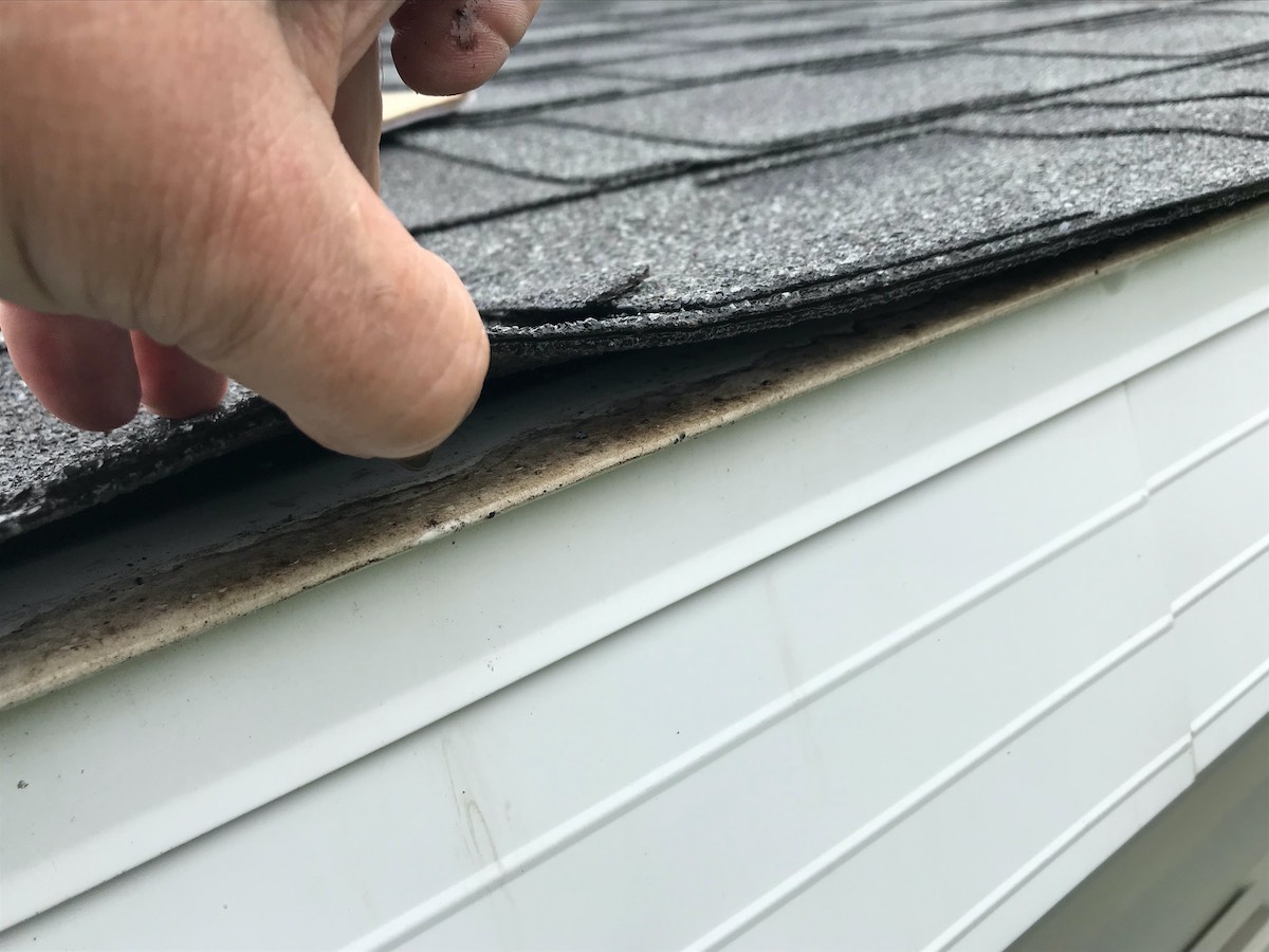 Houston roof shingle inspection 