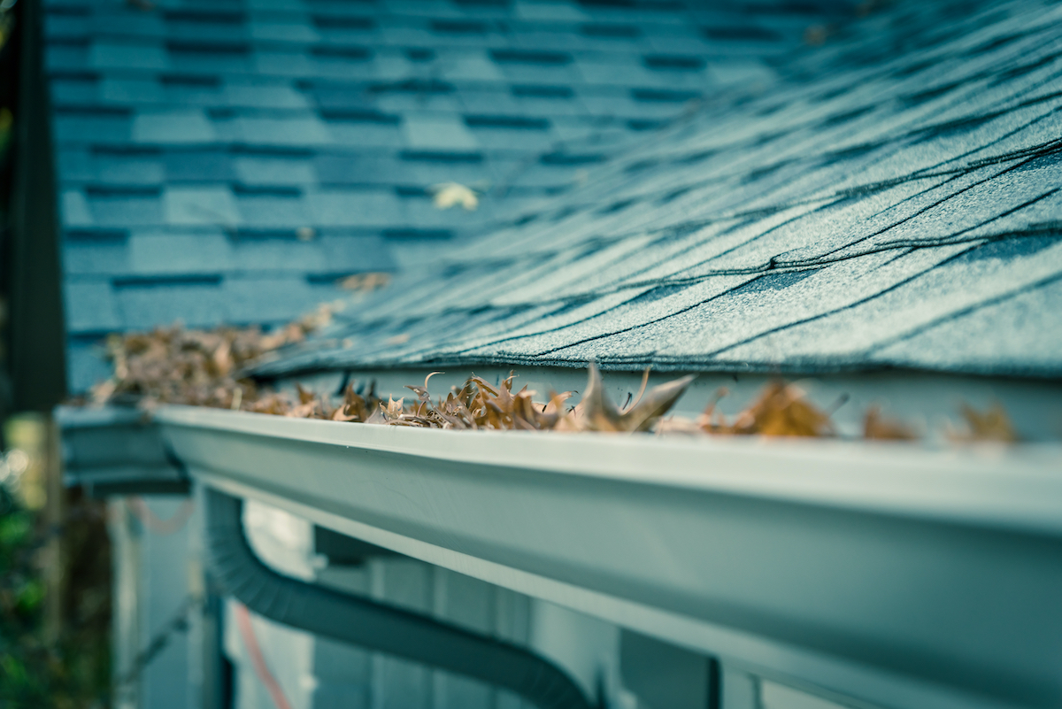 Gutters filled with leaves and twigs while homeowner is maintaining their cinco ranch katy tx roof