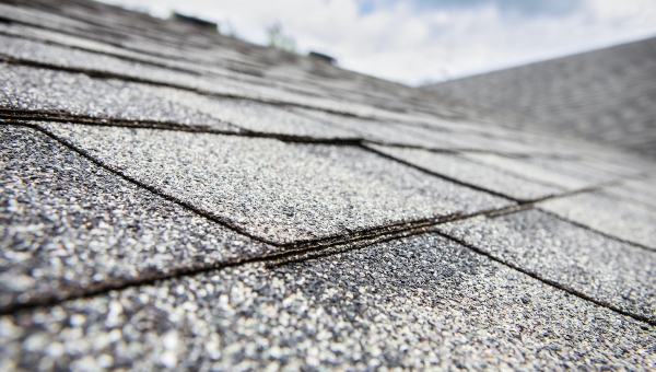 Close-up image of Friendswood roof shingle granules
