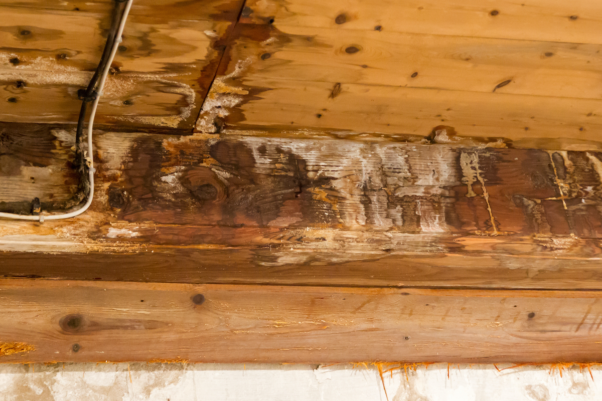 Roof rot in decking that requires Houston roof replacement