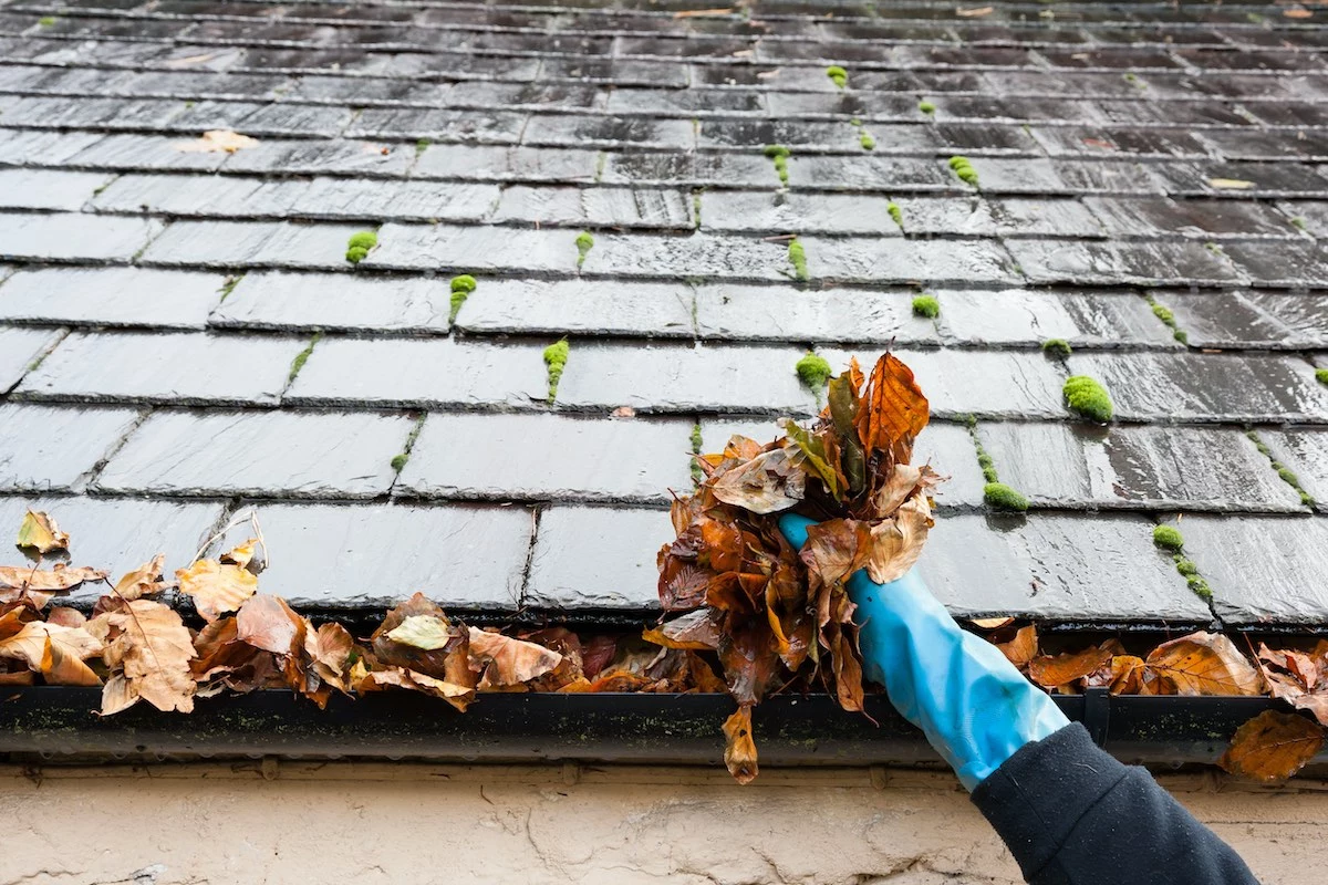 Houston roof experts removing autumn leaves from damaged roof 