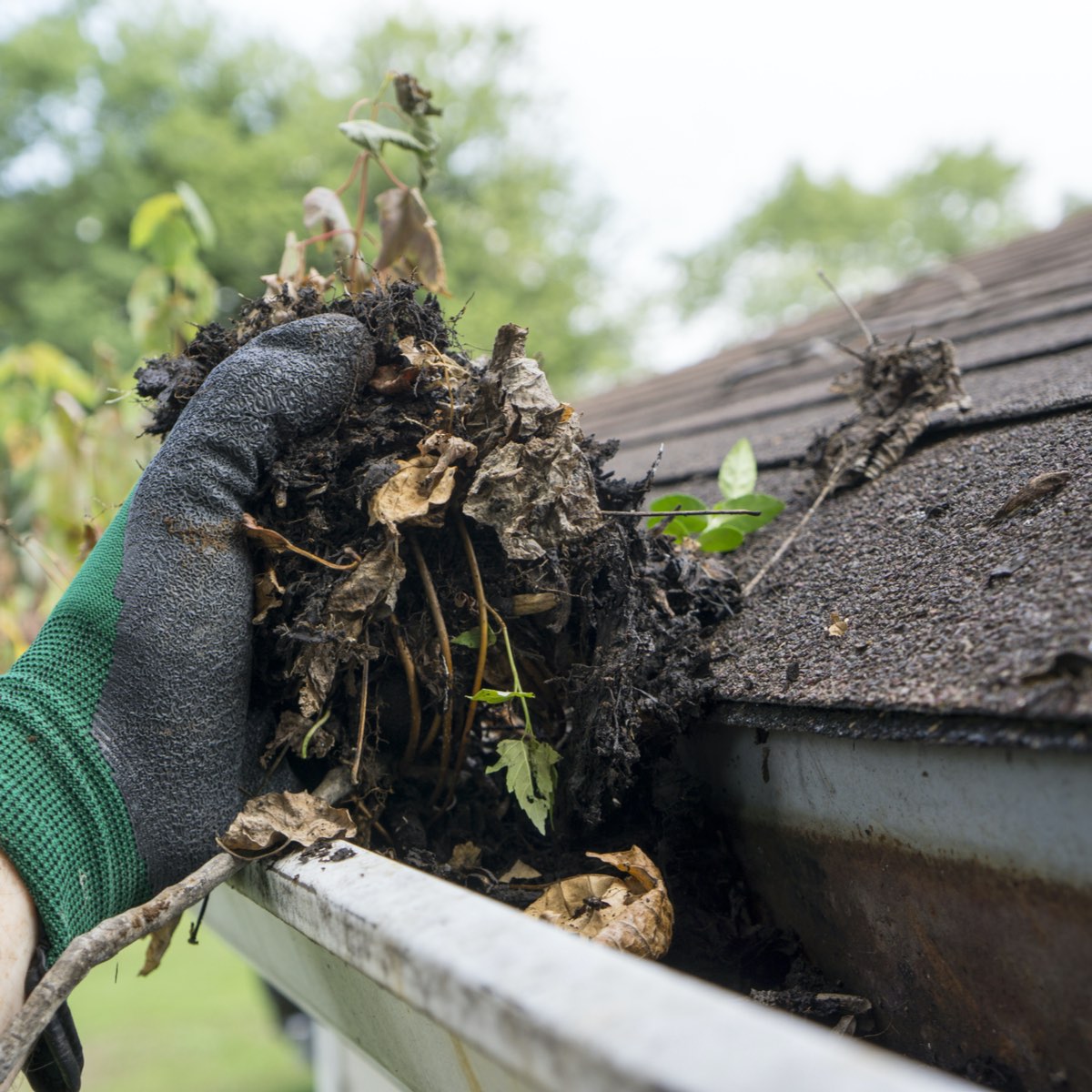 homeowner cleaning gutters as part of Houston roof maintenance 