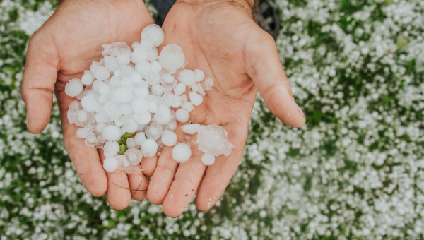 Homeowner holds handful of hailstones that can cause Fresno, TX hail roof damage