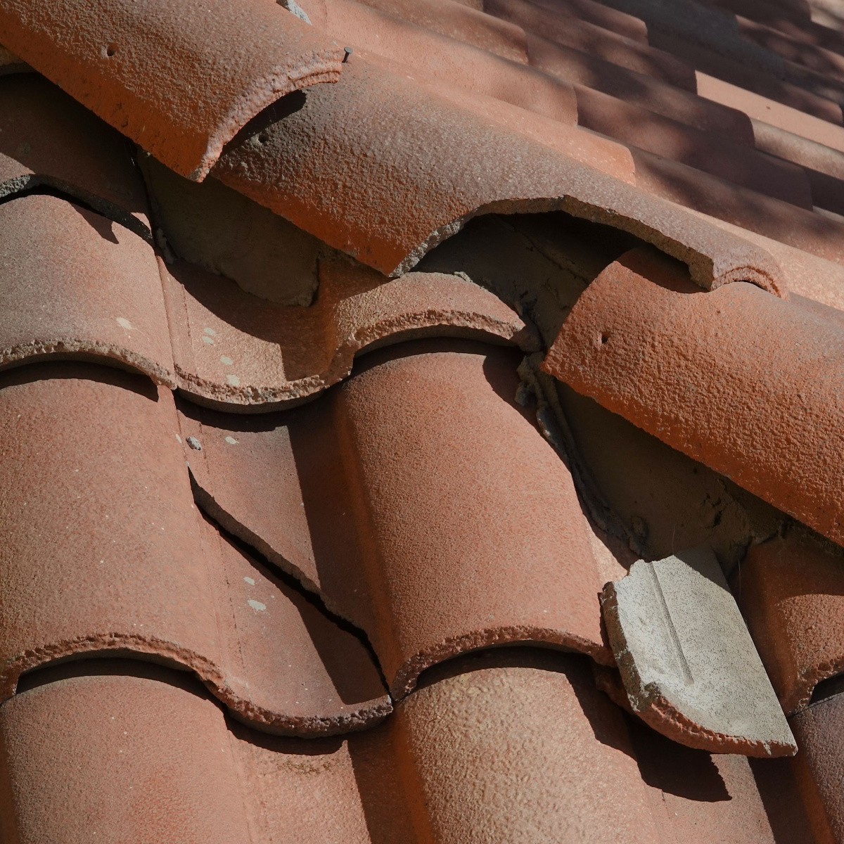 A cracked roof shingle that can be a sign of a small Cinco Ranch roof leak in need of a Cinco Ranch roof leak repair.