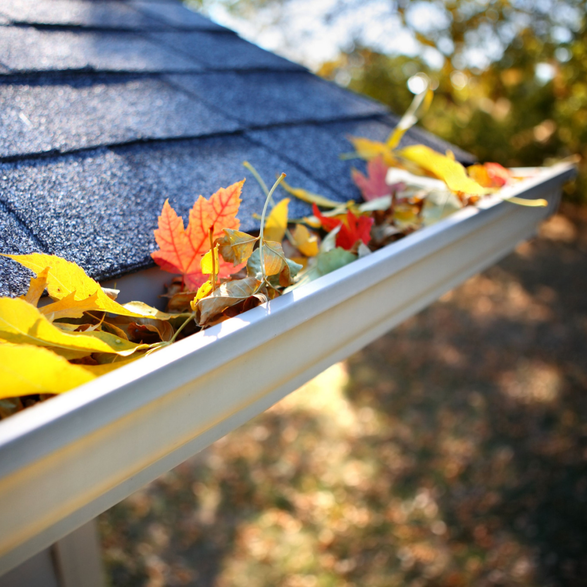 Pearland roof gutter system during fall season