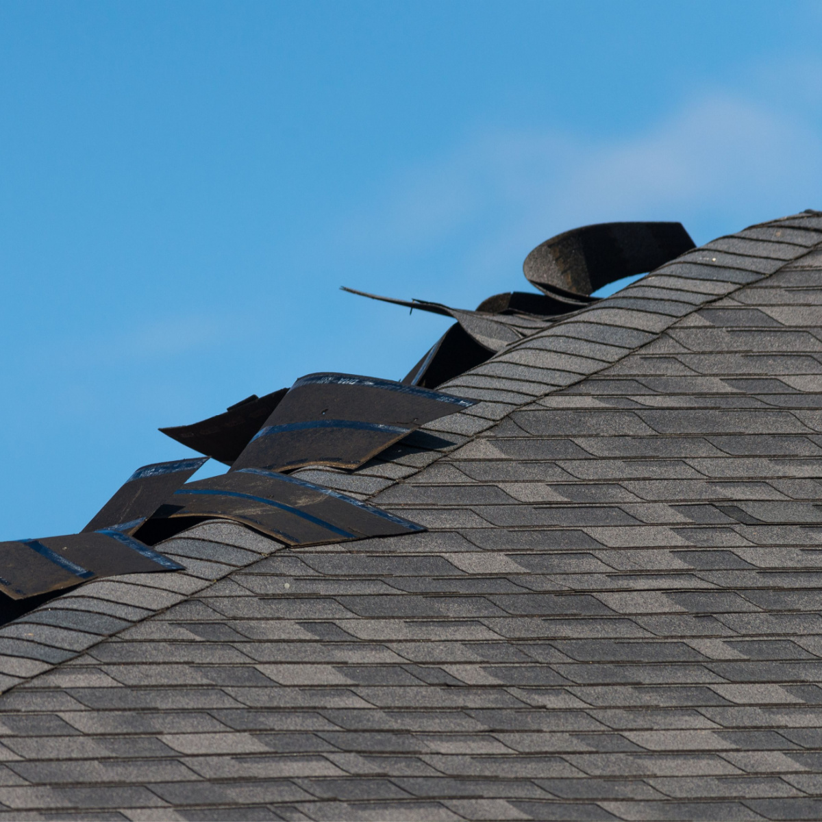 Obvious signs of wind roof damage in need of Katy roof repairs by Houston roof experts.