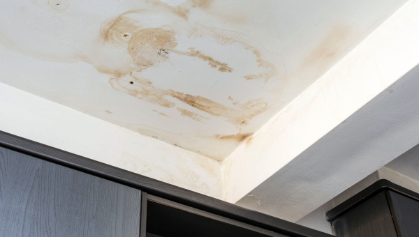Sienna TX Roof Leak Repair and Detection
