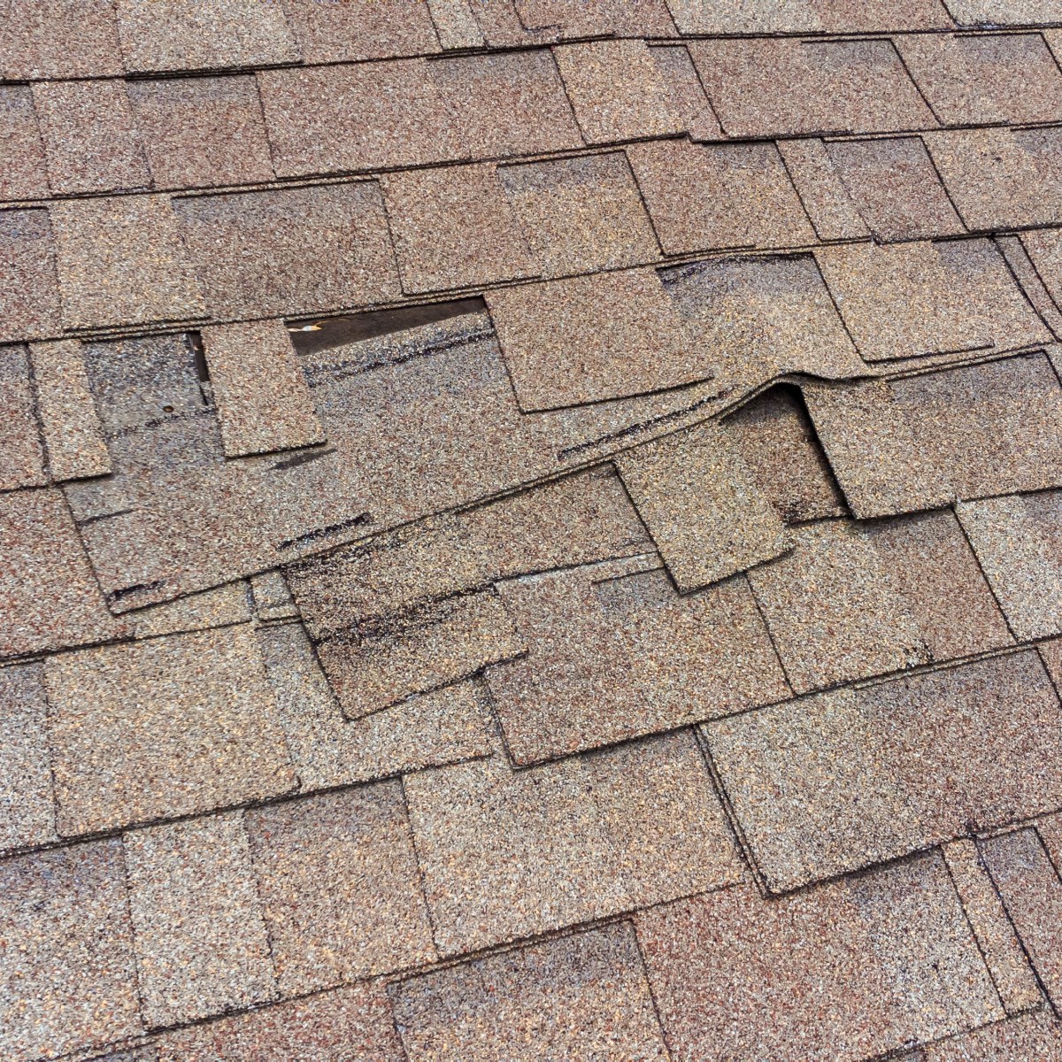 Damaged shingles on a roof