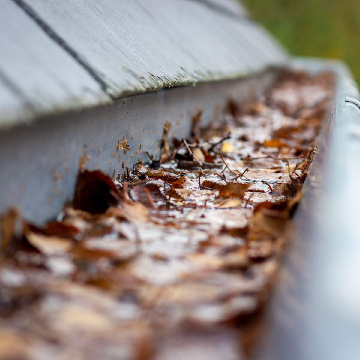 Gutters clogged by storm debris