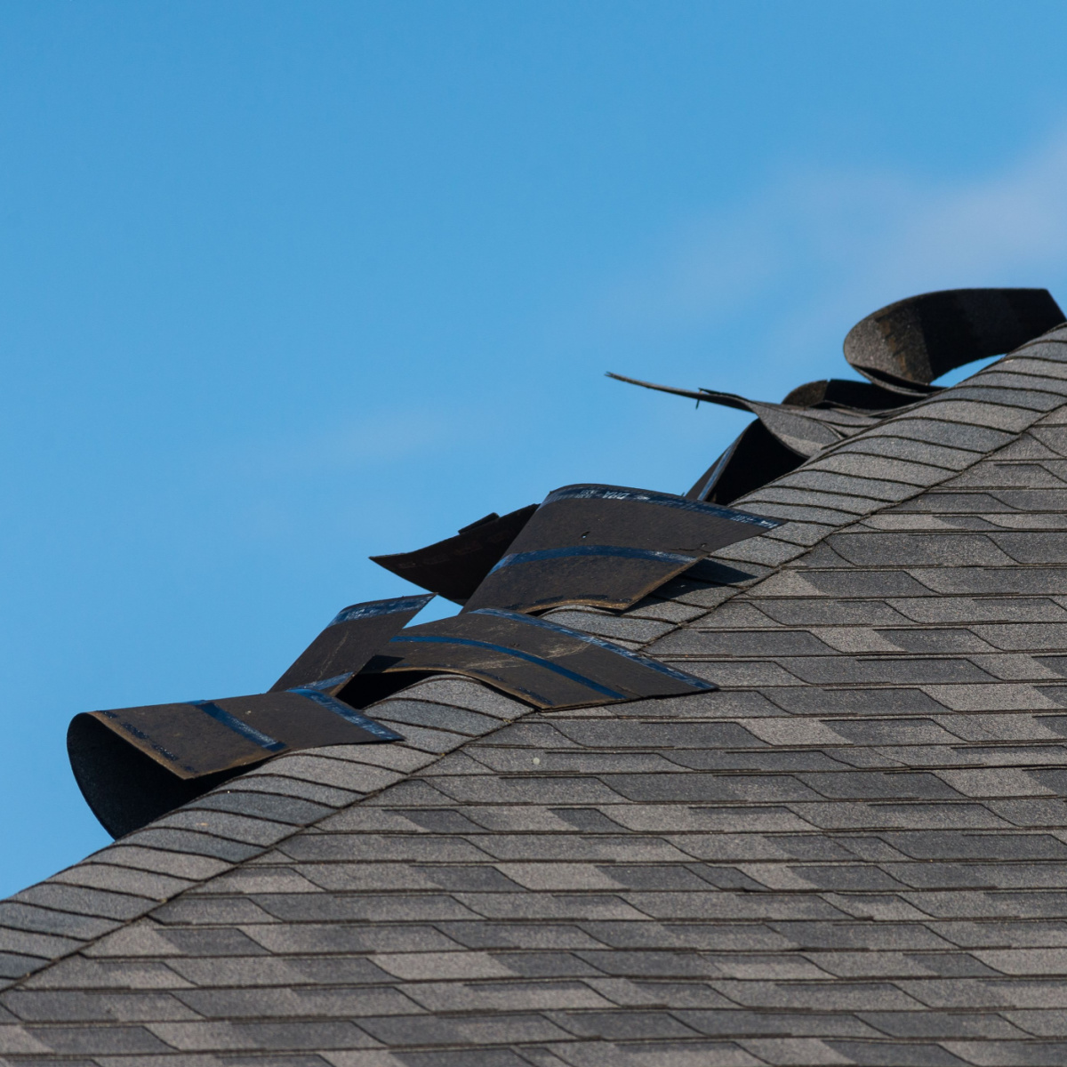 Shingles damaged from the wind