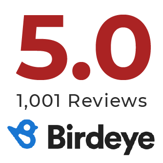 5.0 Birdeye