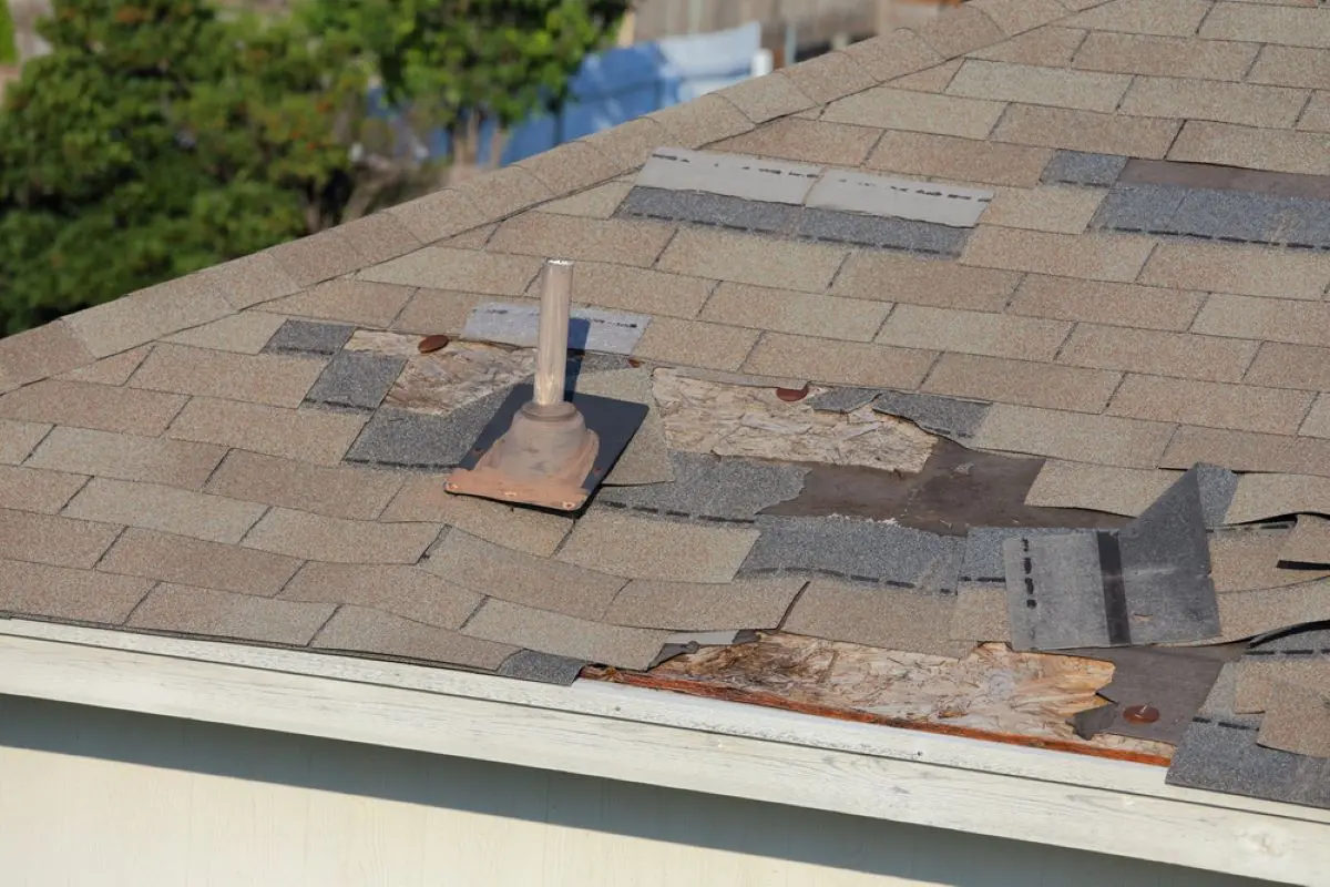 Damage to shingles of Pearland roofing caused by winter front