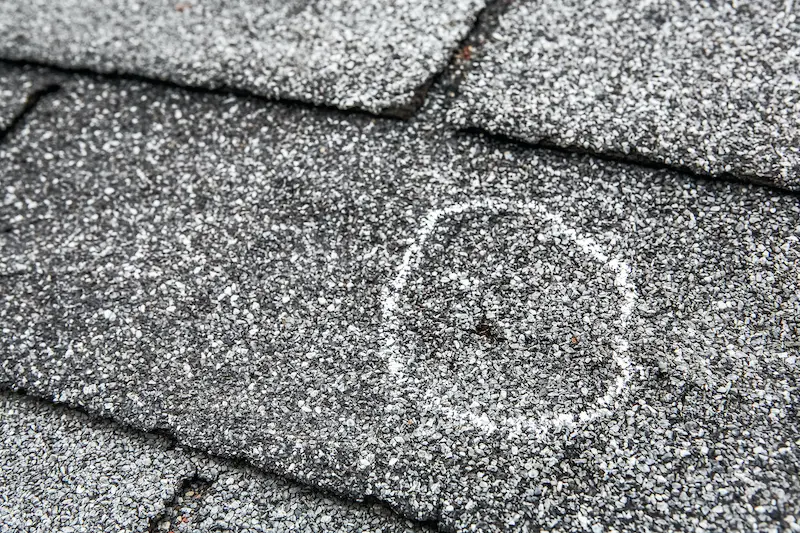 The Woodlands roofing shingle damaged by hail