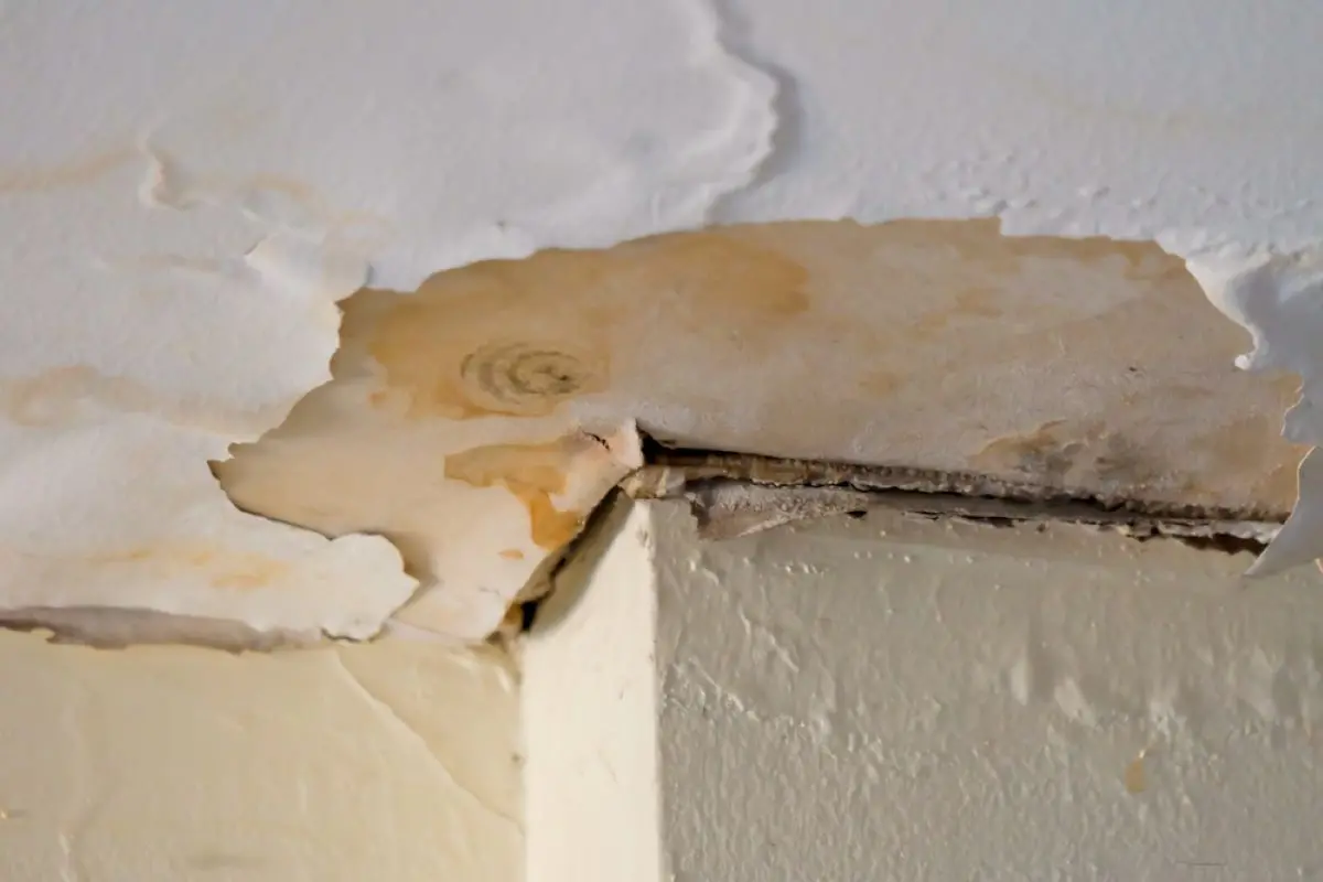 Interior water damage caused by leak required Brookshire roof repairs