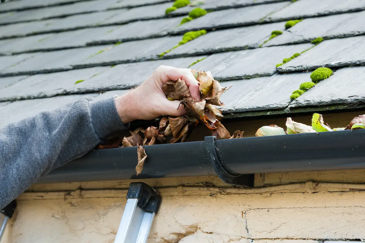 Homeowner cleaning gutters as a part of seasonal Pearland roof maintenance
