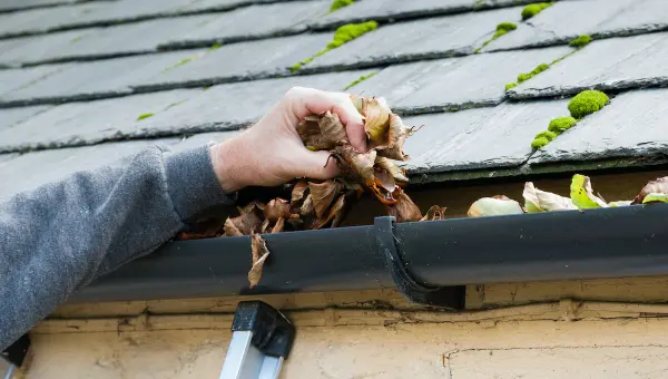 Homeowner cleaning gutters as a part of seasonal Pearland roof maintenance